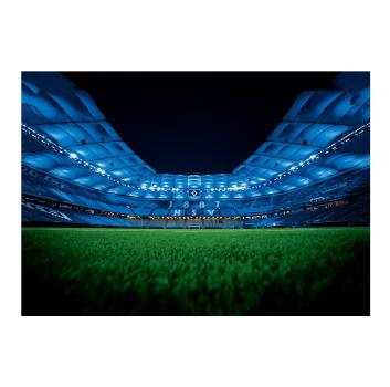 Hamburger SV HSV Wandfahne "Stadion" ca. 120 x 80 cm